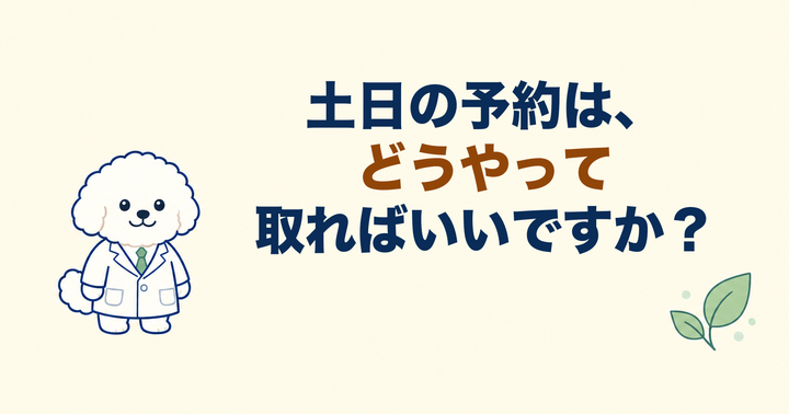 日曜・土日に歯医者へ行きたい方へ｜大阪・羽曳野の【加藤総合歯科・矯正歯科】／大阪・梅田の【えみは総合歯科】