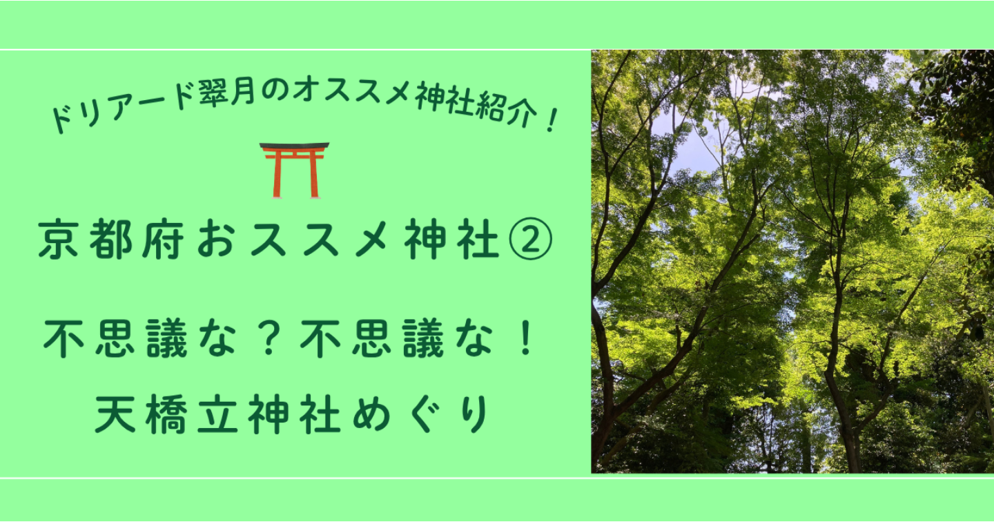 ⛩️不思議な？不思議な！天橋立 神社めぐり