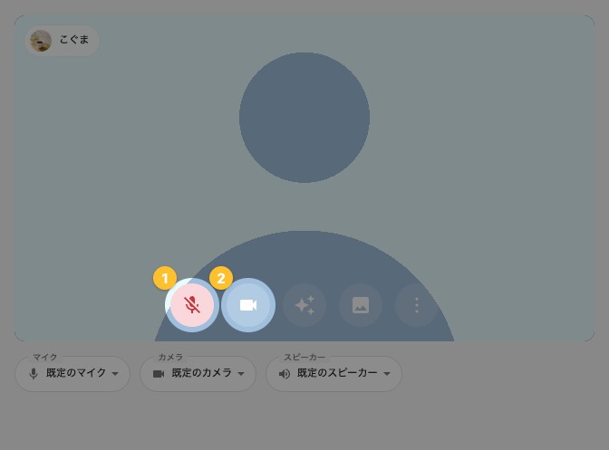待機画面。映像の下のマイクとカメラのボタンが強調されている